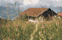 Le chalet en été