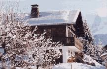 Chalet in winter