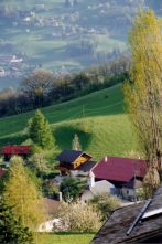 Chalets of Bay