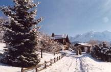 The path in Bay which leads to the chalet